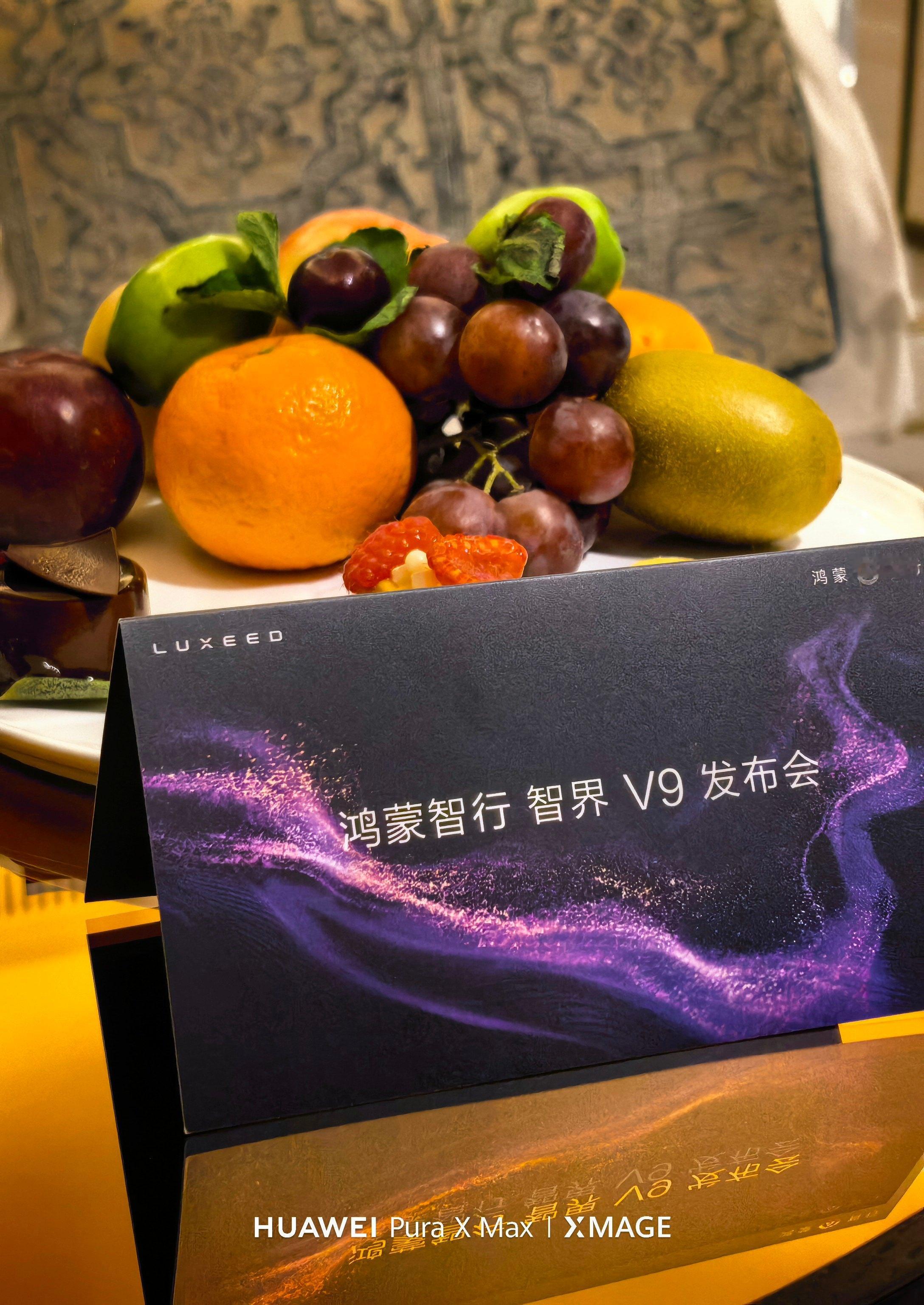 来智界V9的发布会明天能看到刘亦菲吧