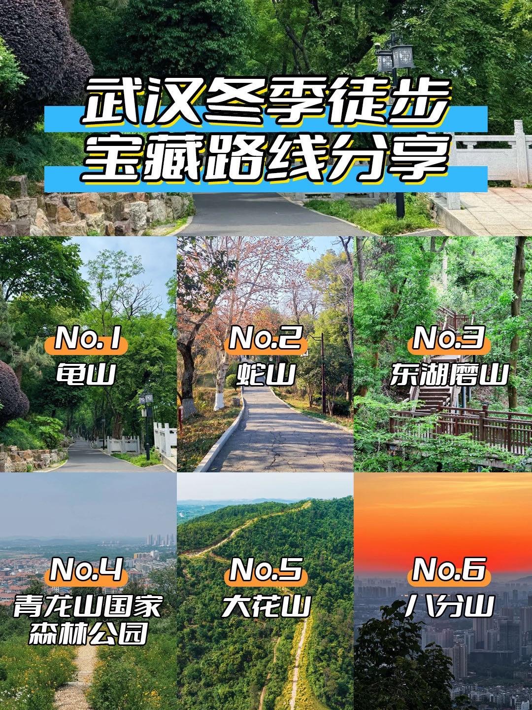武汉冬日徒步天花板！6条免费神仙路线分享。1⃣ 龟山 📍前临长江，北...