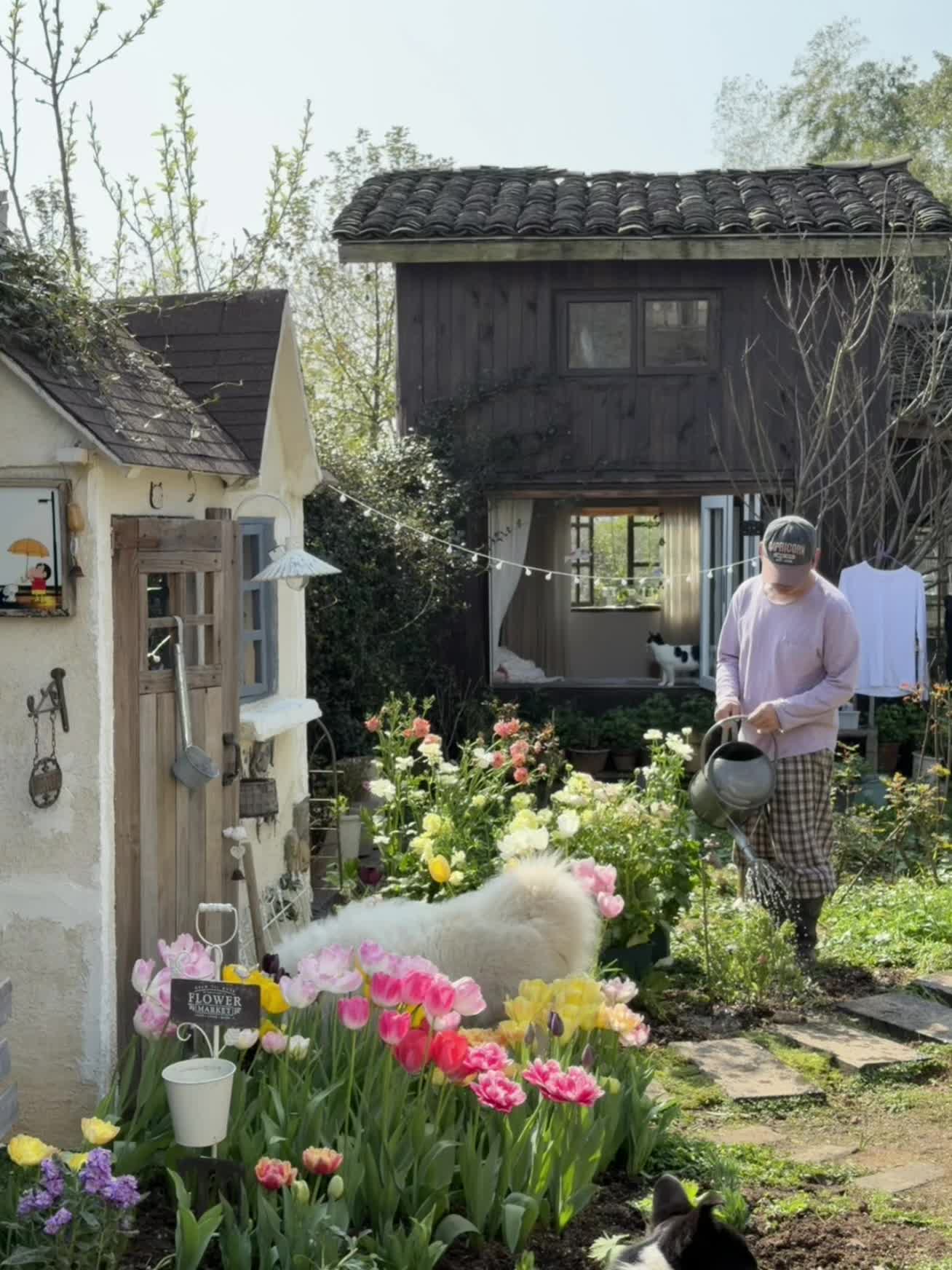 不上班、住农村，好喜欢我的家🍃