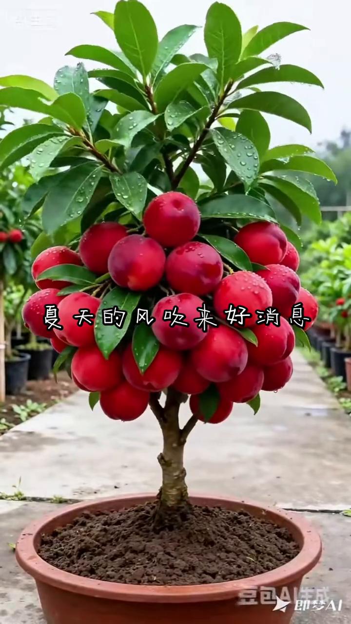 夏天的风吹来好消息。