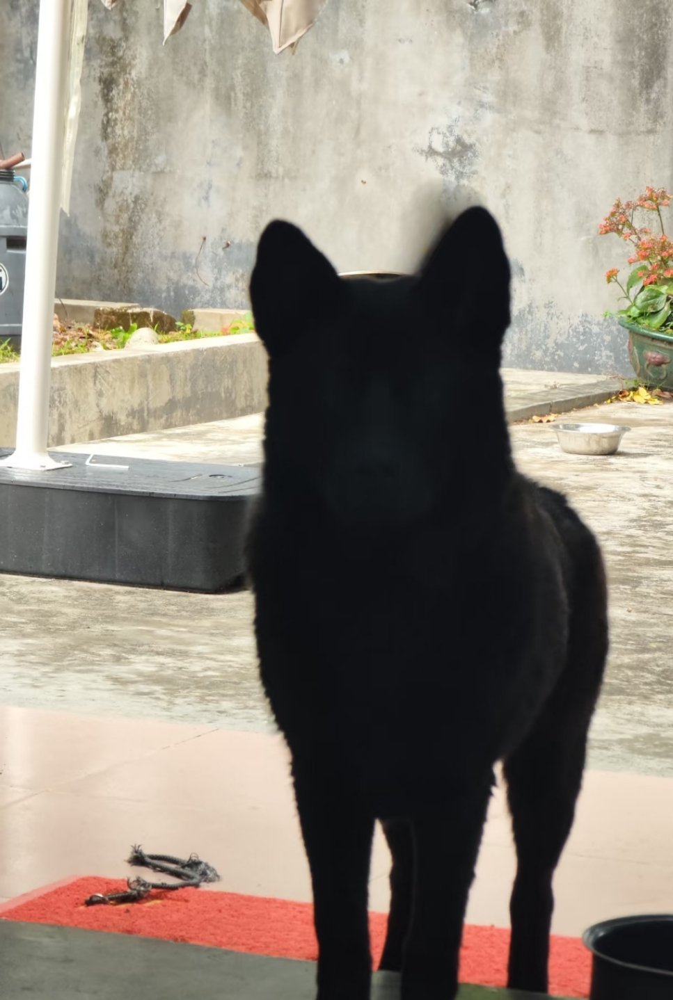 看我脸色行事一旦逆光了。。就什么都看不到。。。