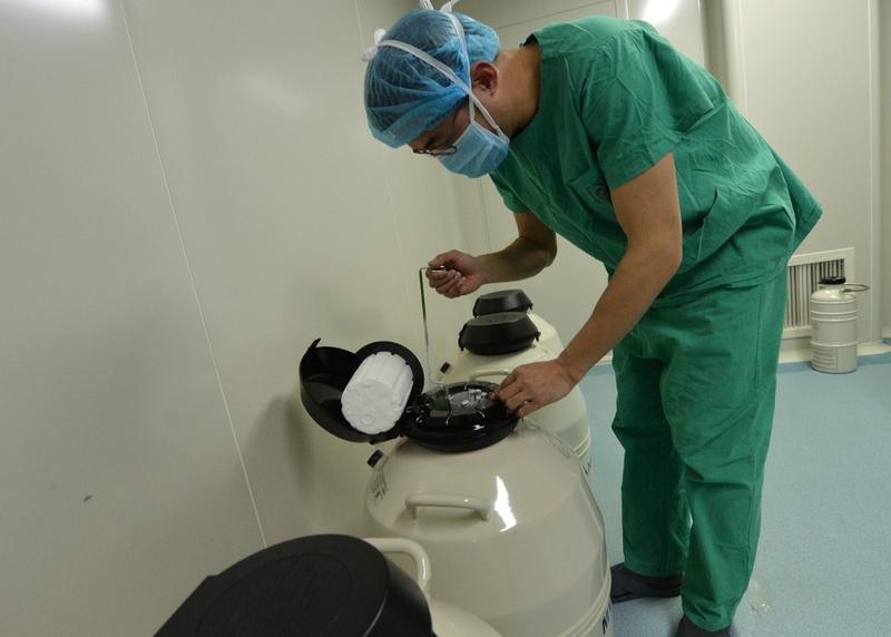 如今，细胞科学的发展令人叹为观止，普通大众也能从中获益，享受美颜与延寿的好处。科