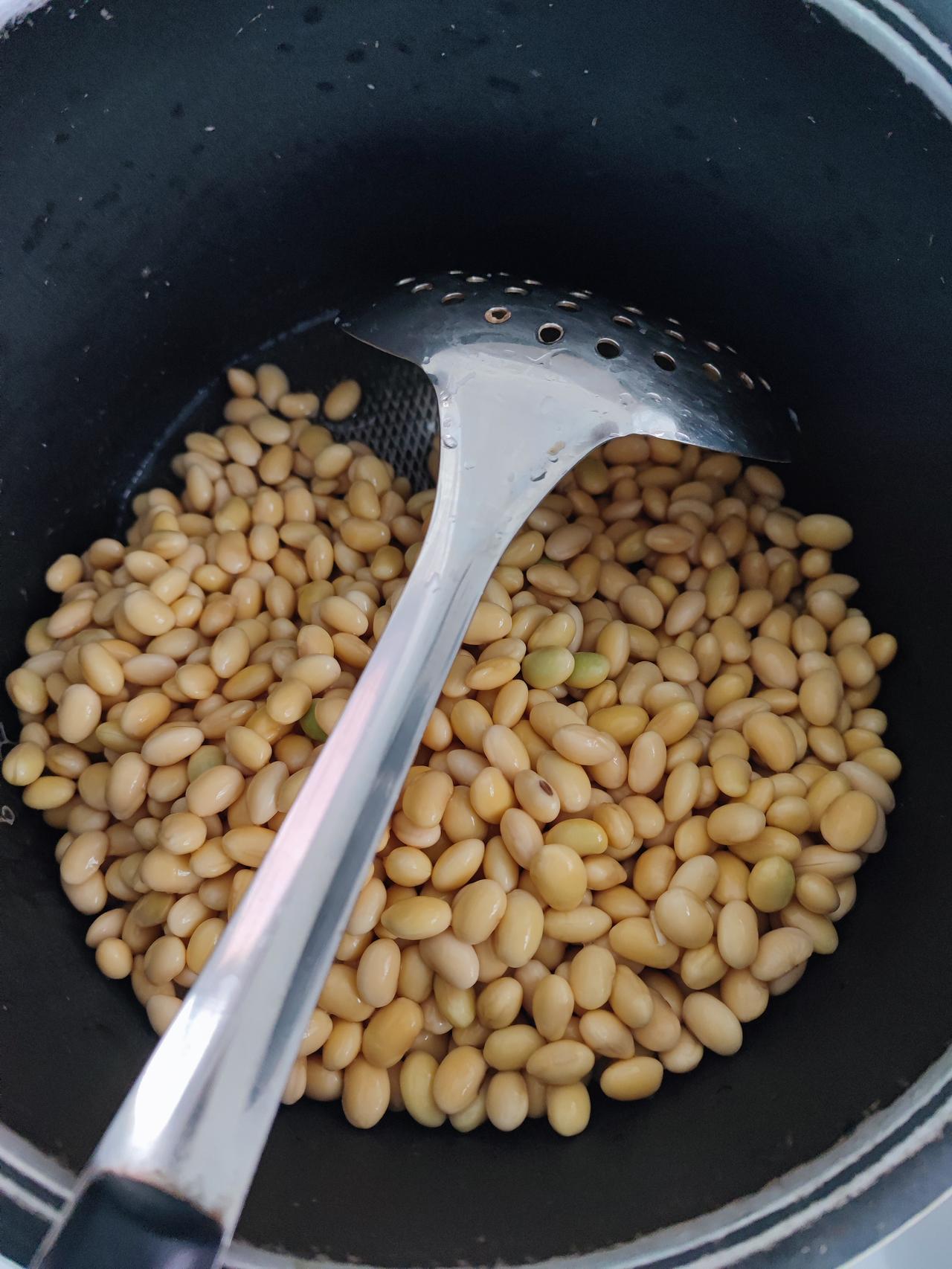 感觉豆腐少，豆腐渣多。东北的天冷了，在家没事自己做豆腐。在网上学的，怕