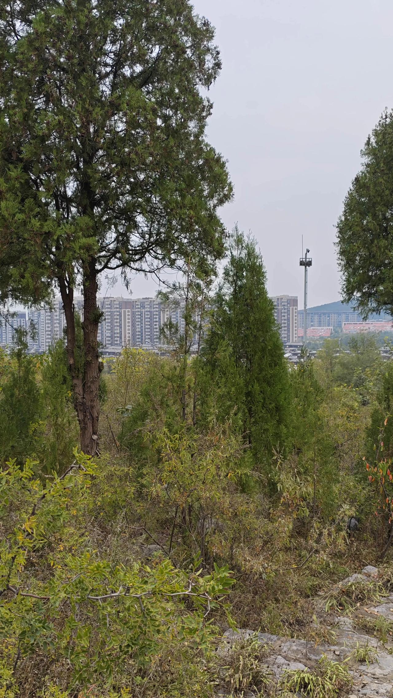 你有没有享福的命，关键就看这4点我是“高等教育文摘”，深耕教育学、心