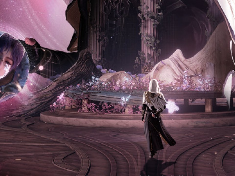 是一黑一白的翅膀