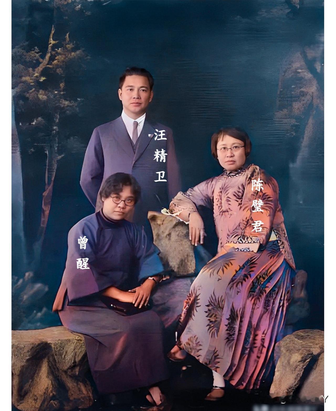 这才是汪精卫真实的样貌，大家看看！这而非演员所扮演，确是货真价实的本人。容貌清晰