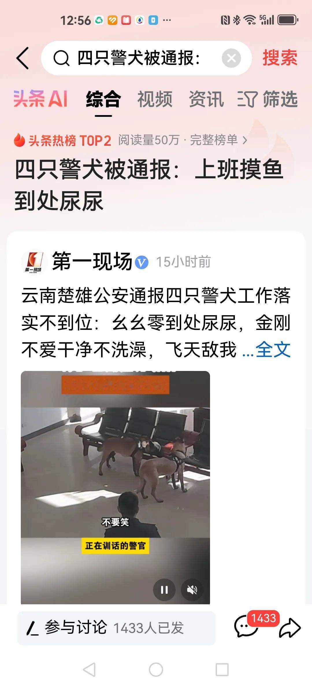 呵呵！云南4只警犬被通报批评了。为什么？因为，主要是以下几个问题：在宿舍内