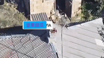俄罗斯隶属于近卫集团军第8集团军第150摩托化步兵师的官兵在顿斯科耶村附近摧毁了
