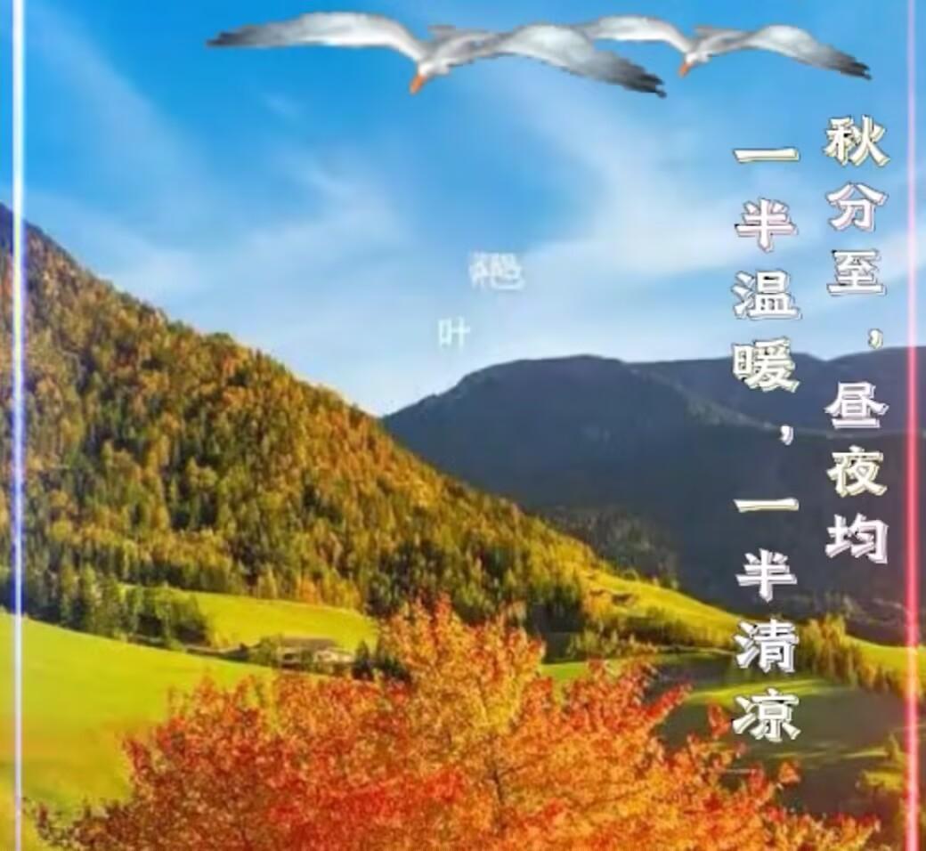 今日秋分，一场秋雨一场寒，一场秋霜染山川。秋分，昼夜平分；秋过一半，天气渐凉；秋