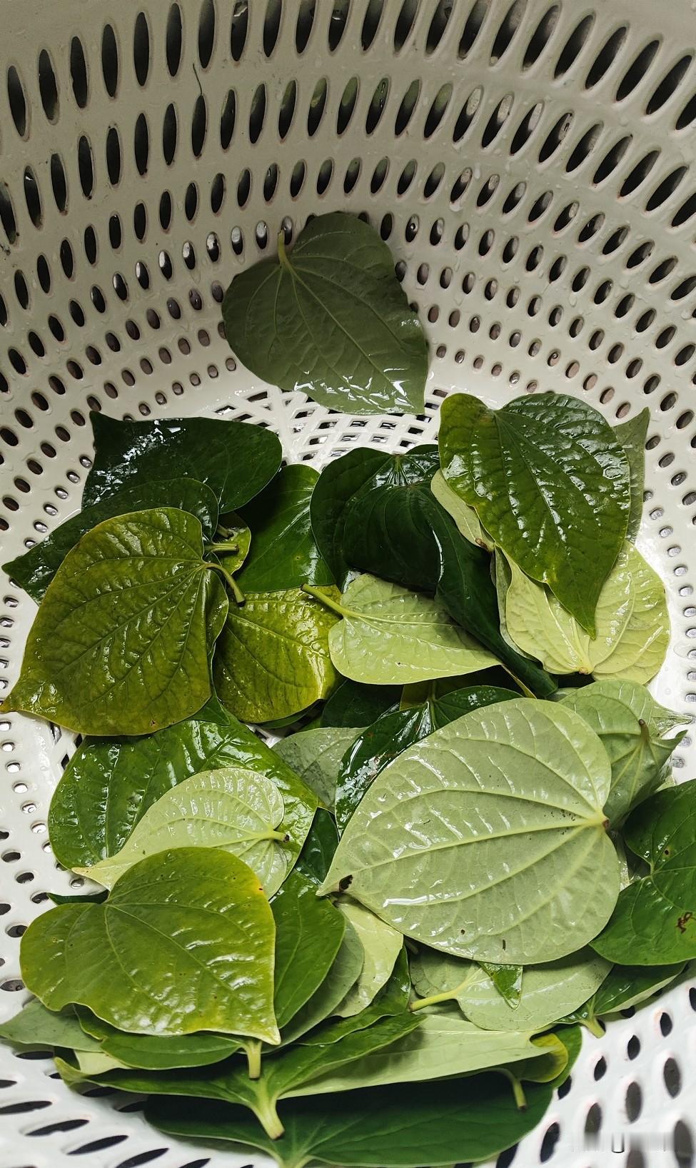 到底分不分家！婆婆和公公是一个村子的，但是不同族，她的娘家就离我们几栋房子，她