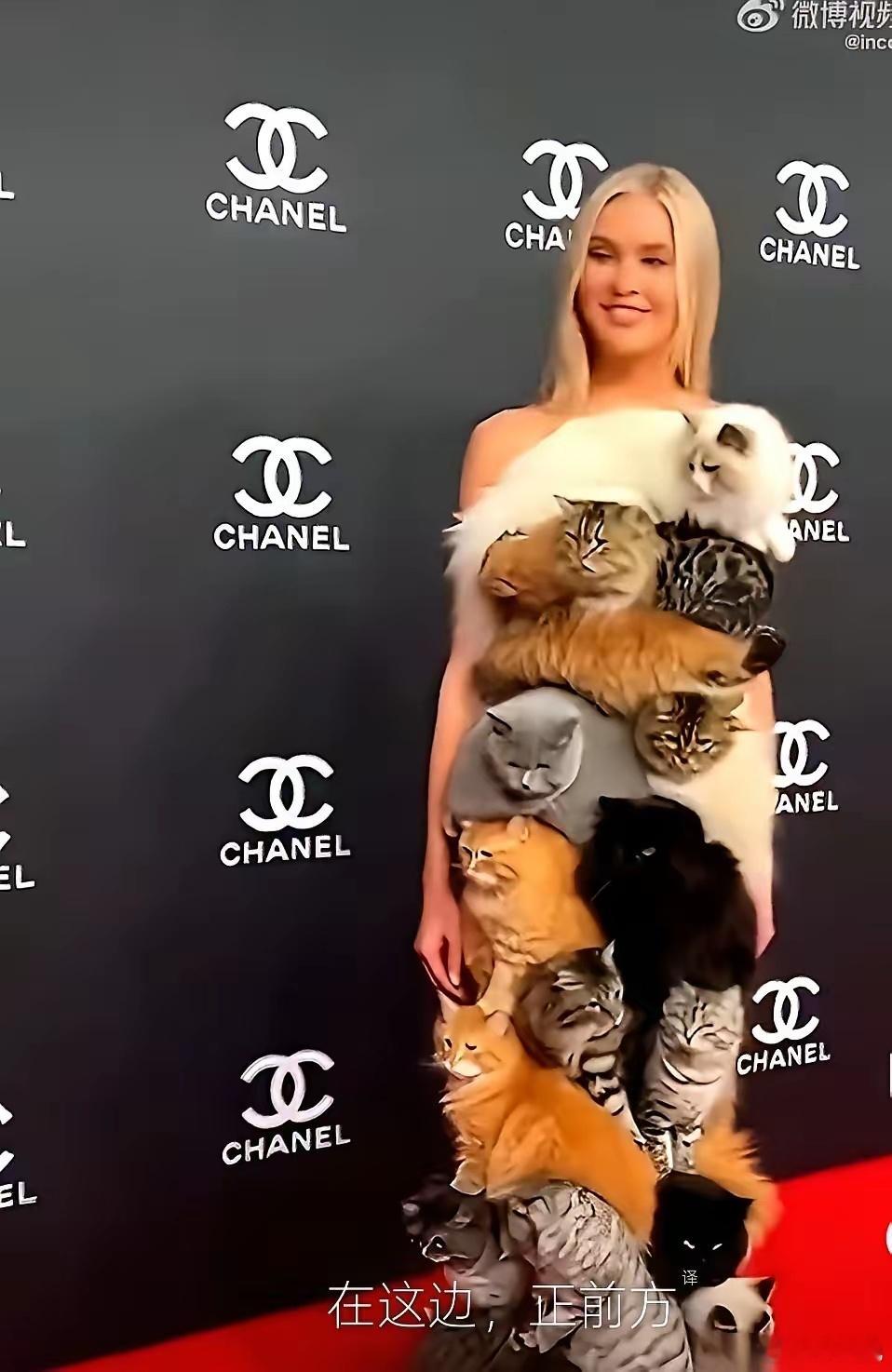 香奈儿“猫咪裙”