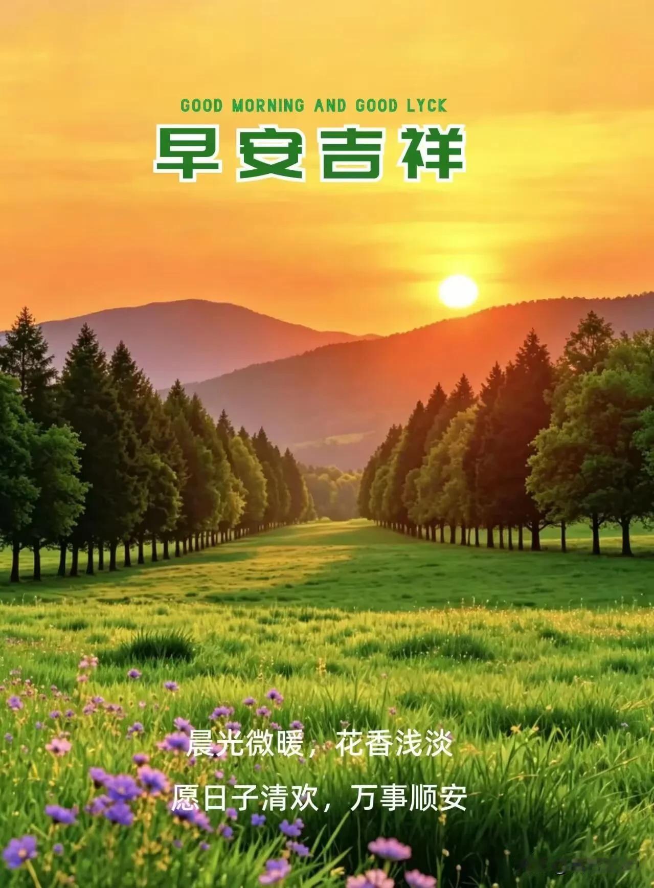 清晨一缕微光，驱散疲惫与烦忧，愿家人平安康健，便是世间最好的福气。早安。