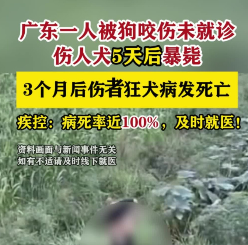 狂犬病毒发作时，人其实已经死亡了，或者说是脑死亡。狂犬病毒是嗜神经的，病毒的存活