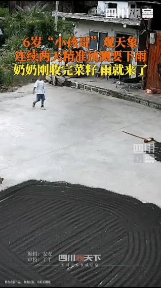 完全没法解释！“贵州6岁男孩正在院子玩，突然大叫着跑向奶奶，让奶奶赶紧收菜籽，说