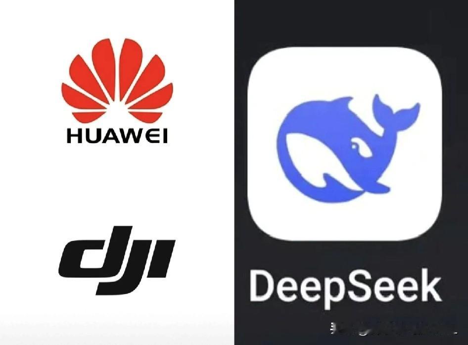 这年头，能在资本狂欢里保持清醒，死活不上市的，才是真正的狠人！看看华为，