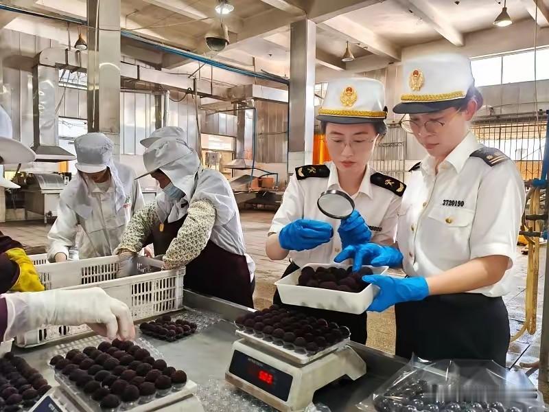 出口欧盟包括杨梅在内的水果，国内各部层层把关，把最好的水果双手奉上到国外货架上！