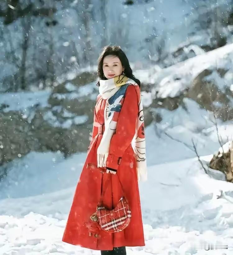 两小时赚了8亿，董洁打破传统室内卖衣服方式，直接穿上羊绒大衣外雪地里直播卖货一