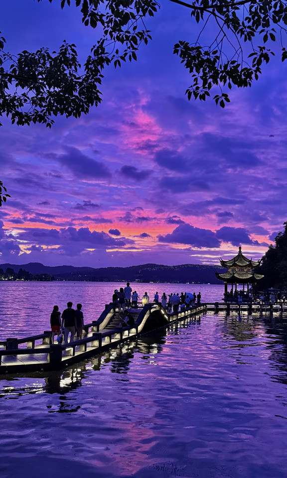 在西湖！！！我拍到了紫色的仲夏夜之梦💜✨🪄