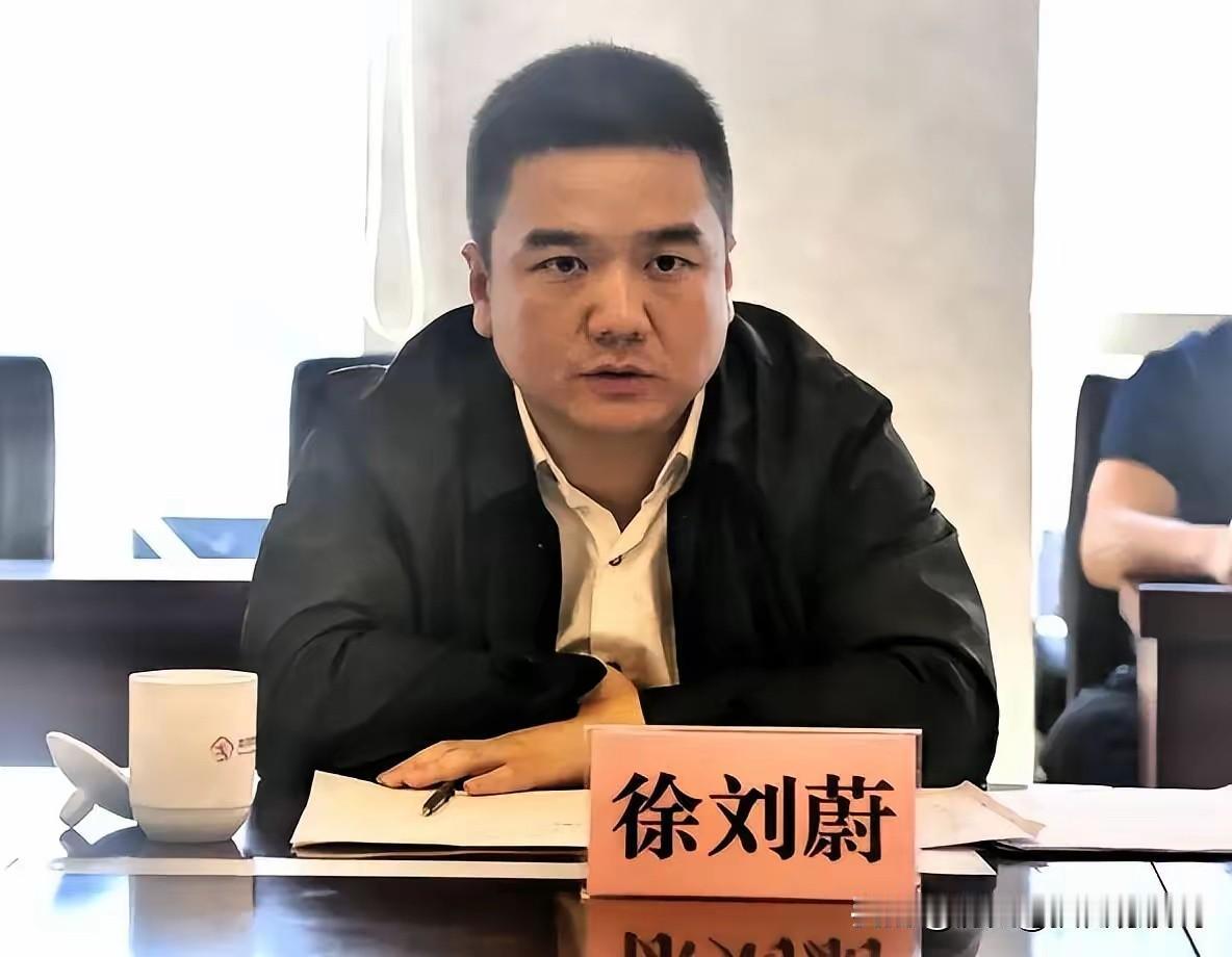 徐刘蔚被查，人扒出以前做县长的旧事：把企业利润都留在本地。认为早有问题的。他这思