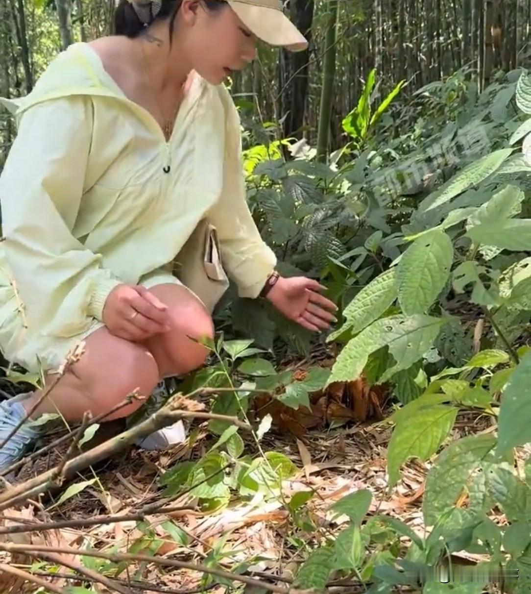 云南，女子见草丛里蝴蝶扎堆，想抓几只拍照。她伸手一抓，刚拎起来，手心一紧，突然尖