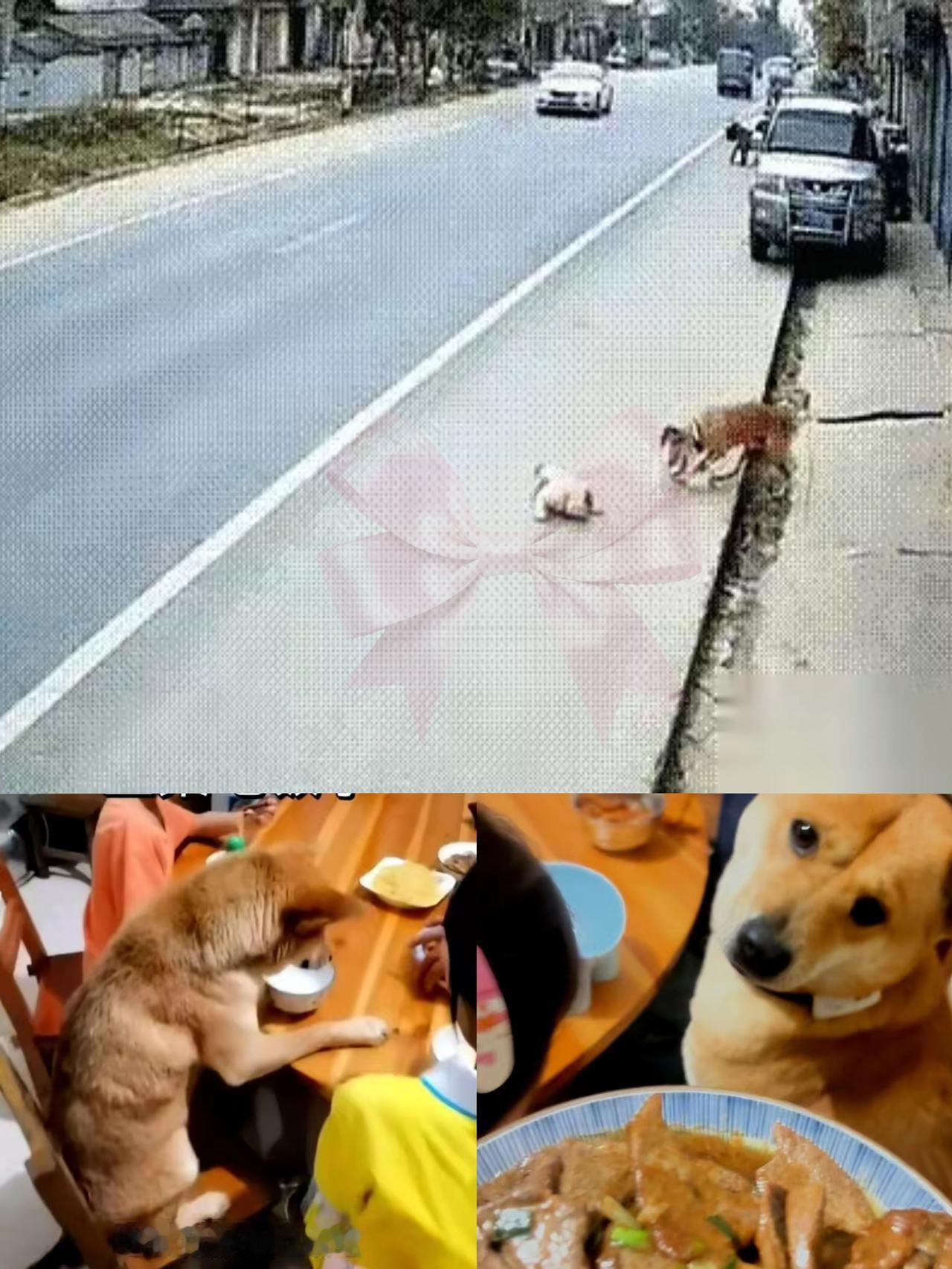 我敢说，这监控要是没拍到，这狗就算有十张嘴也说不清！你想啊，孩子突然往车轮