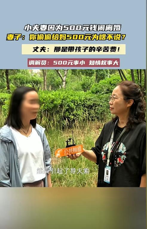 “娶妻不贤毁三代！”河南，大妈帮儿子带孩子，于是儿子每月给母亲500元的辛苦费，