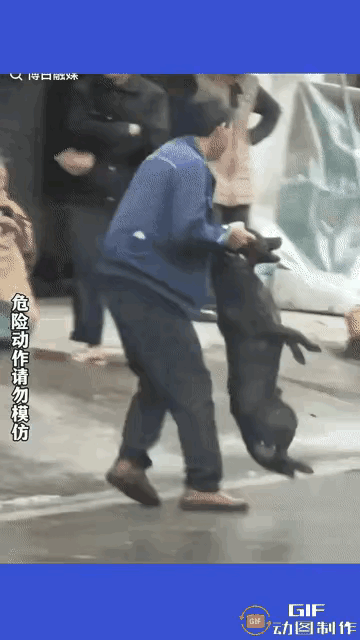 空手制服恶犬，终于碰到狠人了！平时恶犬伤人，普通人大多只能躲着跑，这次这位大哥