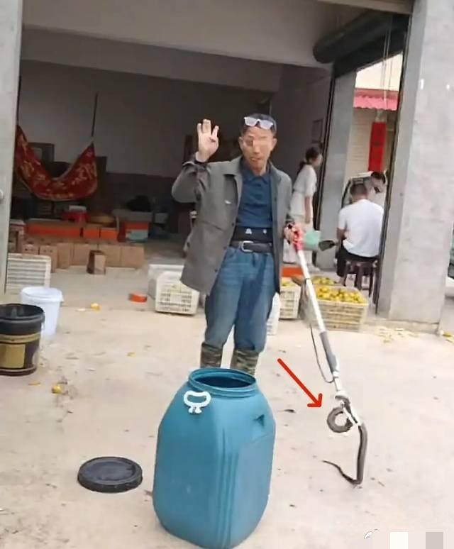 湖南一户外60岁网红挖蛇直播,被银环蛇咬伤,自行去医院嫌血清太贵拒绝注射,驾车失