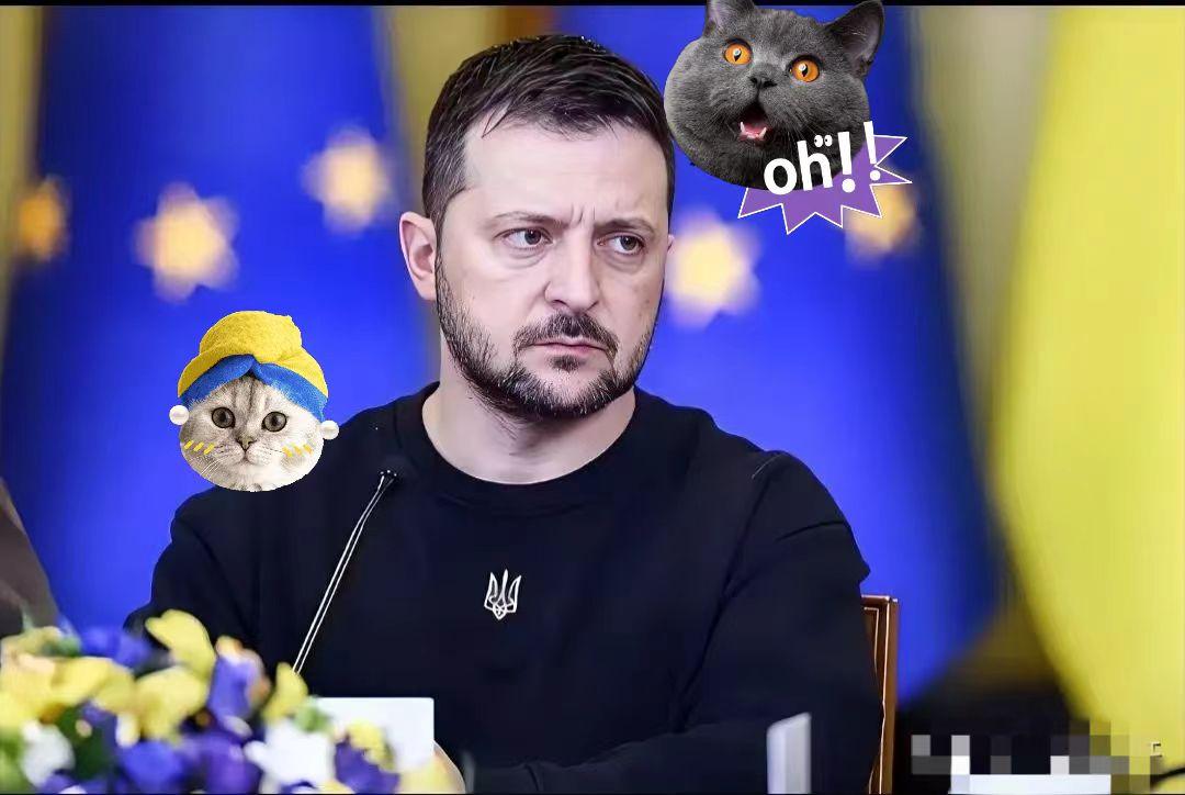 就在刚刚乌克兰正式发布重要消息！2025年11月11日乌克兰国家电力