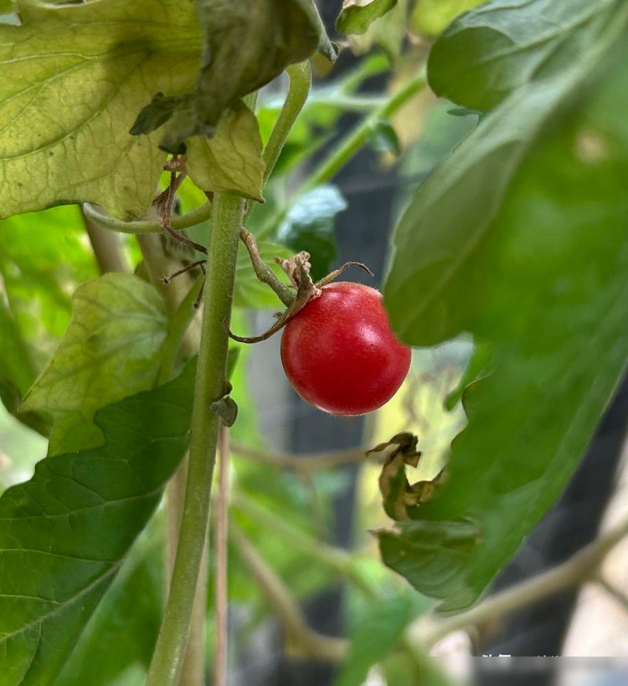 终于发现男人和女人在炒股这个事情上的重大区别了。男人炒股一般都爱自己研究，一般先