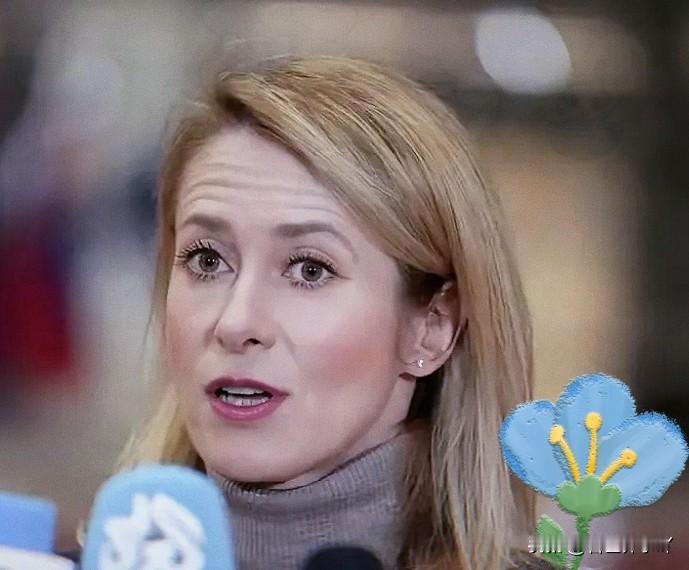 欧盟外长再次语出惊人，这次是关于霍尔木兹海峡！当地时间3月16日，欧盟外长卡