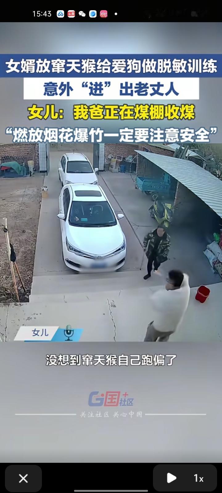 2月7日，辽宁朝阳。女子发布一段监控视频，丈夫想给小狗做一下过年放鞭炮脱敏训练，