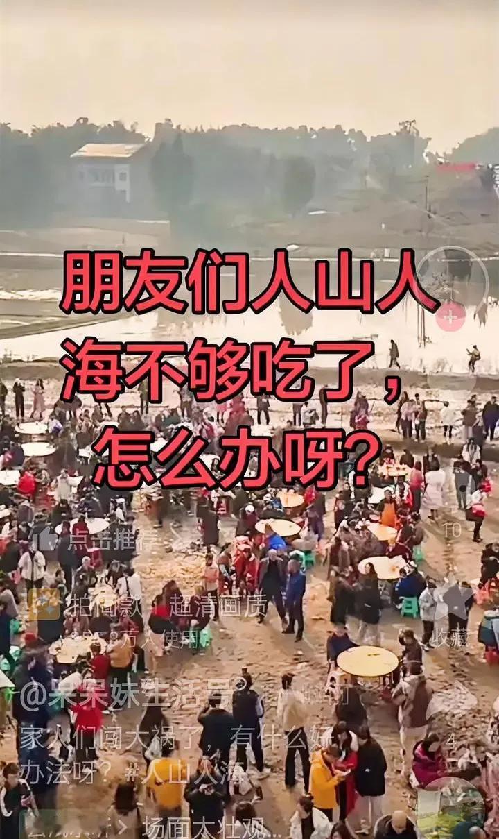 闯大祸了今天估计也上万人了怎么办呀！根本不够吃呀！呆呆：闯祸了，吓死了文