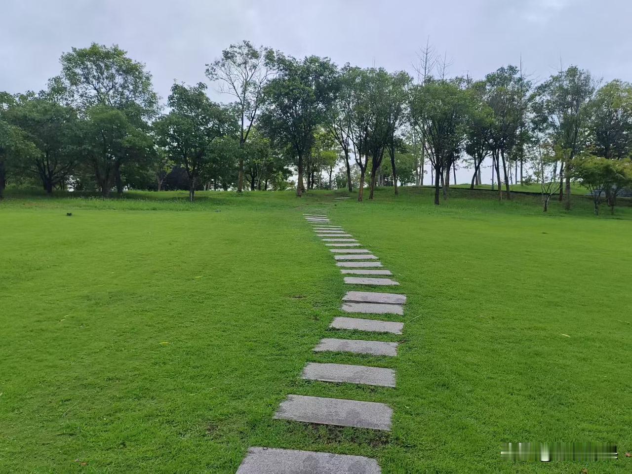 冬天，有基础病的老人去世的很多。也许真正的久病床前无孝子，就连老伴也表现的没有悲