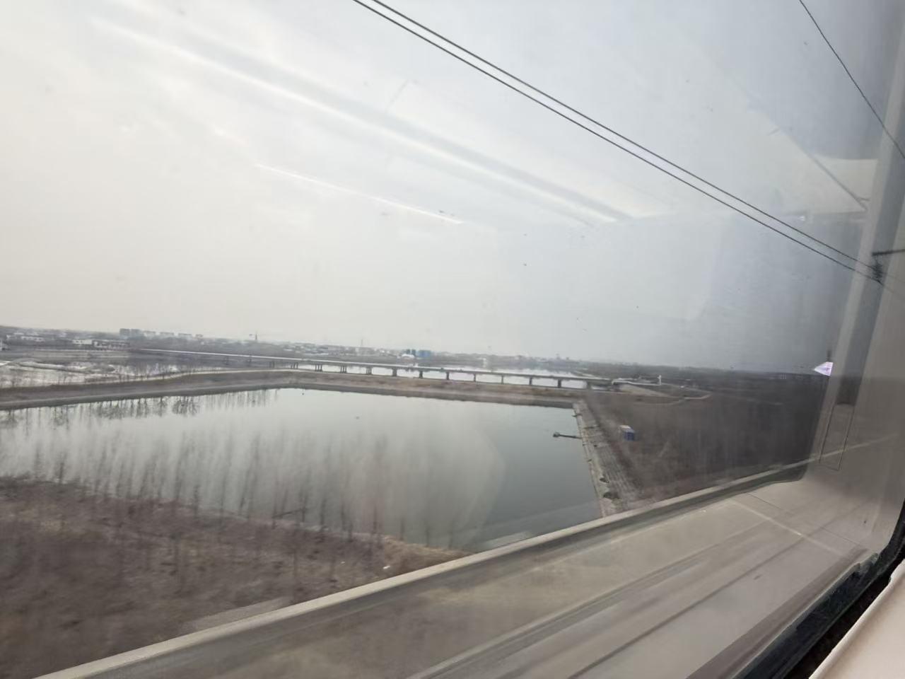 今日运势：乙巳年己丑月乙巳日2026.1.31日鼠：避免与人争执牛：小