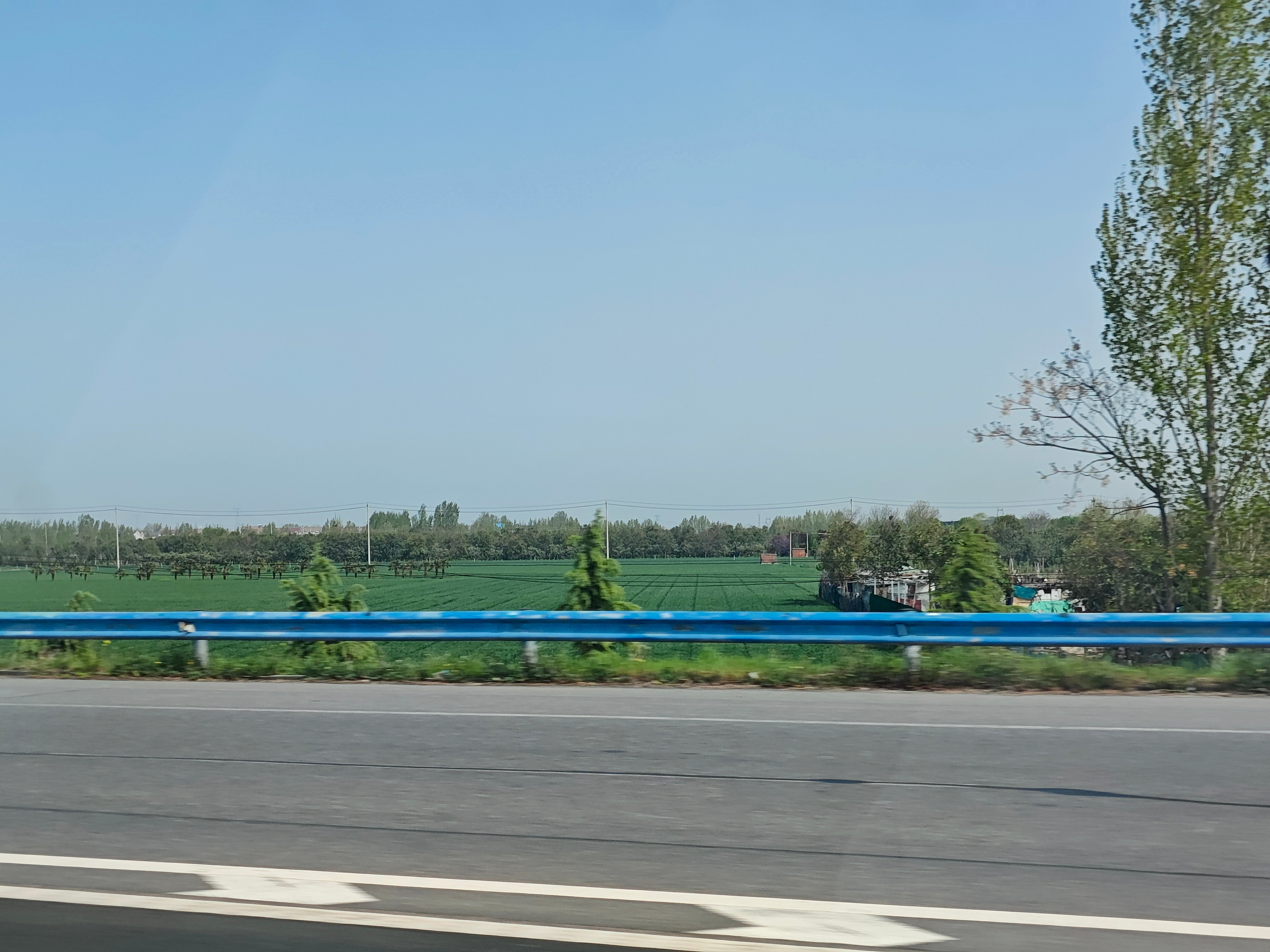 一个南方朋友，看到了河南焦作、新乡的大平原，发出GeiGeiGei的笑声