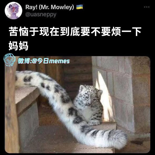 怎么办（uasneppy）哎呀