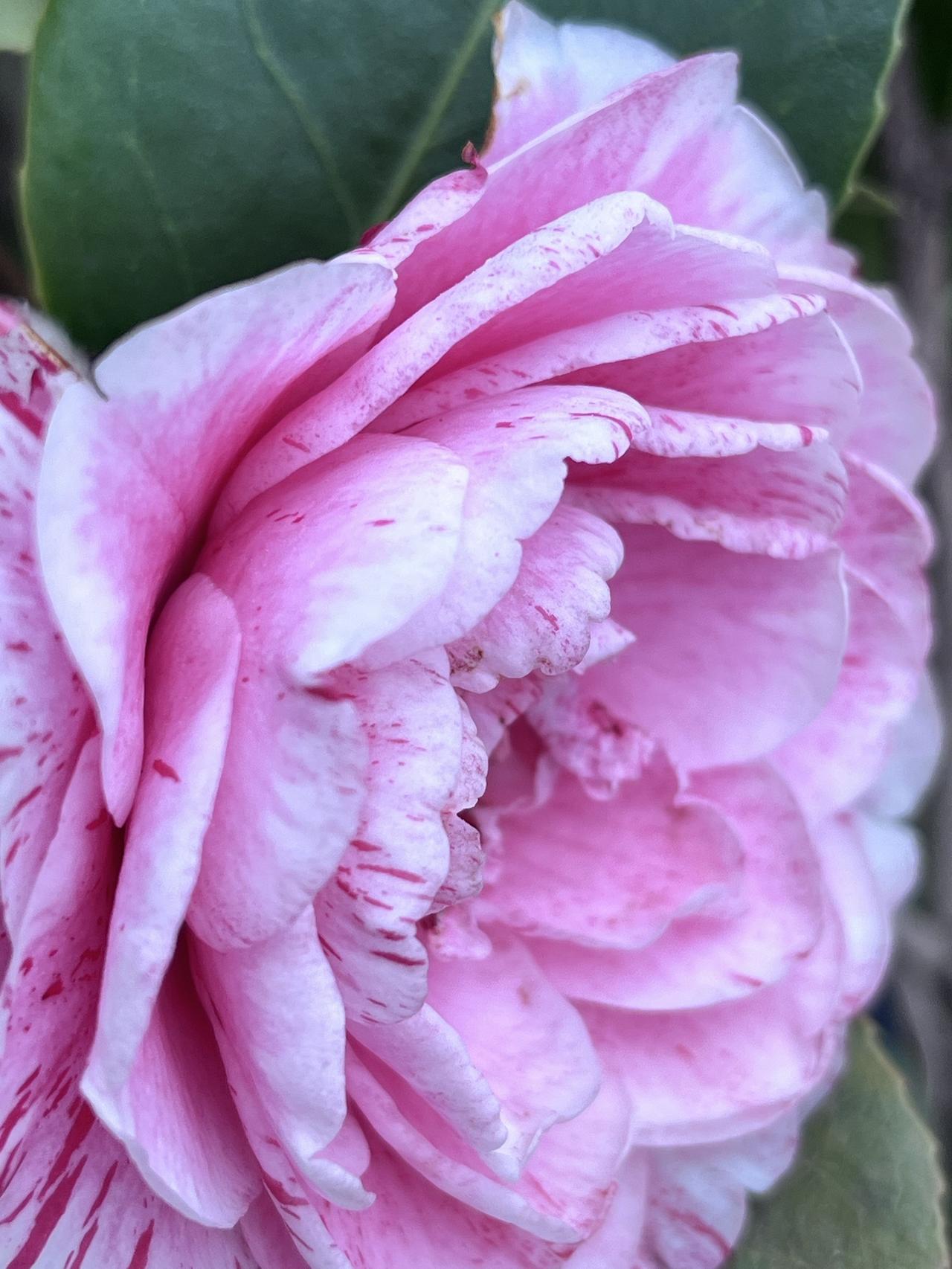 作为一个企业的管理者，特别是主要管理者，就是人们口中常说的‘一把手’，到底怎么管