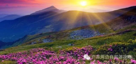 广东周边自驾游 | 新兴县十大旅游景点攻略_风景520 广东周边自驾游 | 新兴县十大旅游景点攻略