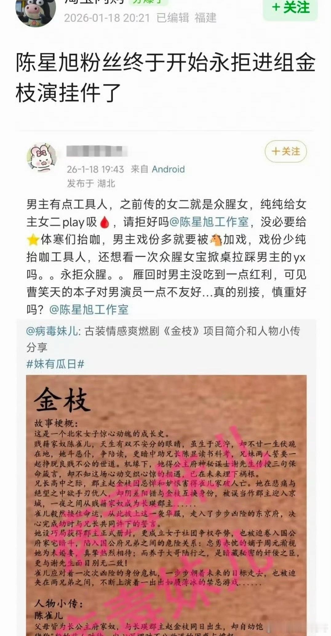 陈星旭粉丝永拒进组《金枝》