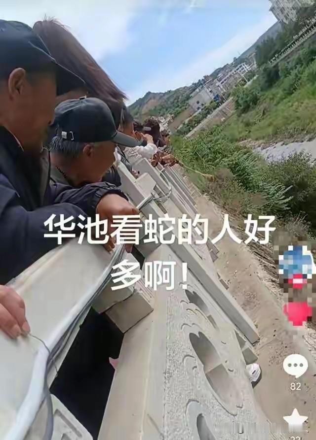 真的是看热闹的不嫌事大！甘肃庆阳的一条河道，明明栏杆上清清楚楚的写着：此处有