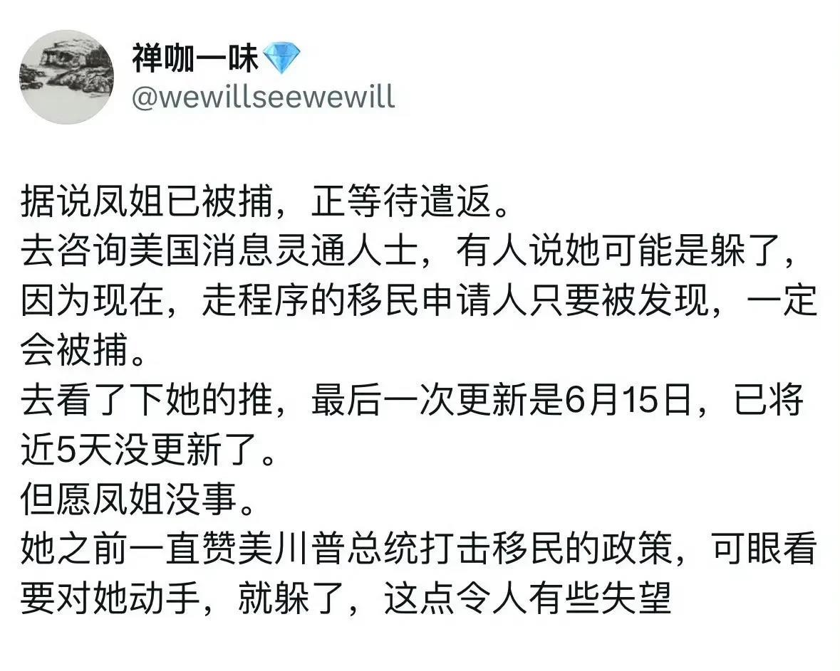 网传罗玉凤被捕，正在等待遣返。其个人社交媒体已经停更多日。罗玉凤人称“凤姐”，