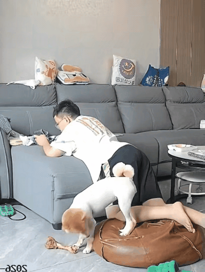 男子扒在沙发上看手机，自家狗在旁边啃骨头，男子勾了勾脚，狗狗突然就朝男子腿上咬了