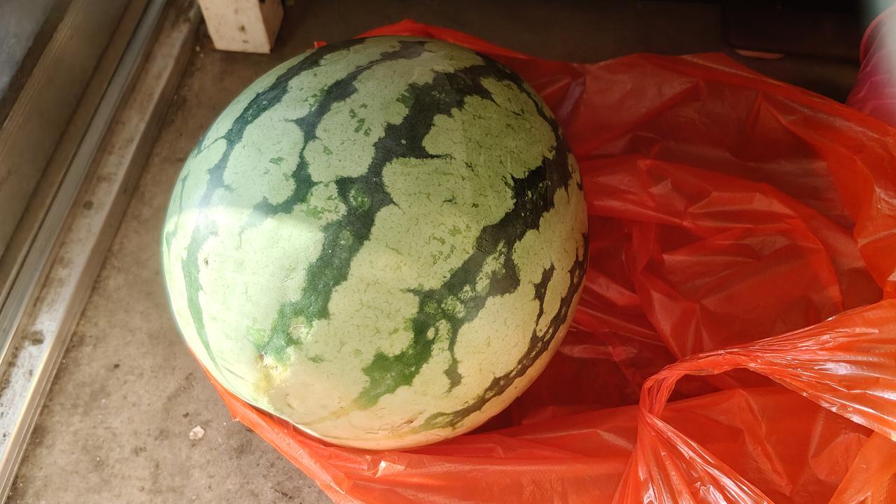 今年的西瓜已经烂到没人要的地步了吗？看相好，味道也行，5块钱一个，一个足有8斤，