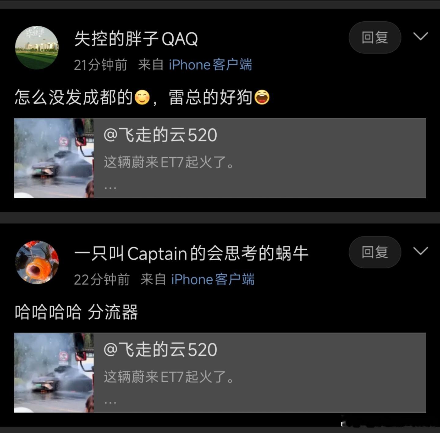 几个蔚来粉，阅读理解不行骂人倒是挺行的​​​