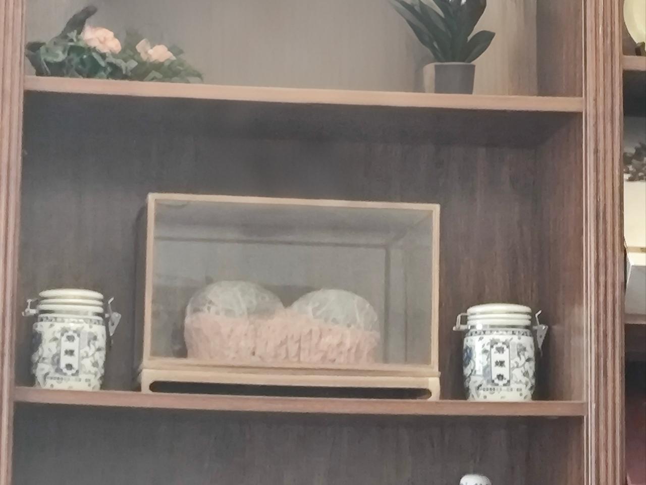 在彪哥家的储藏室里，我无意间发现了两枚看上去颇为唬人的“恐龙蛋”，当下便向豆包打