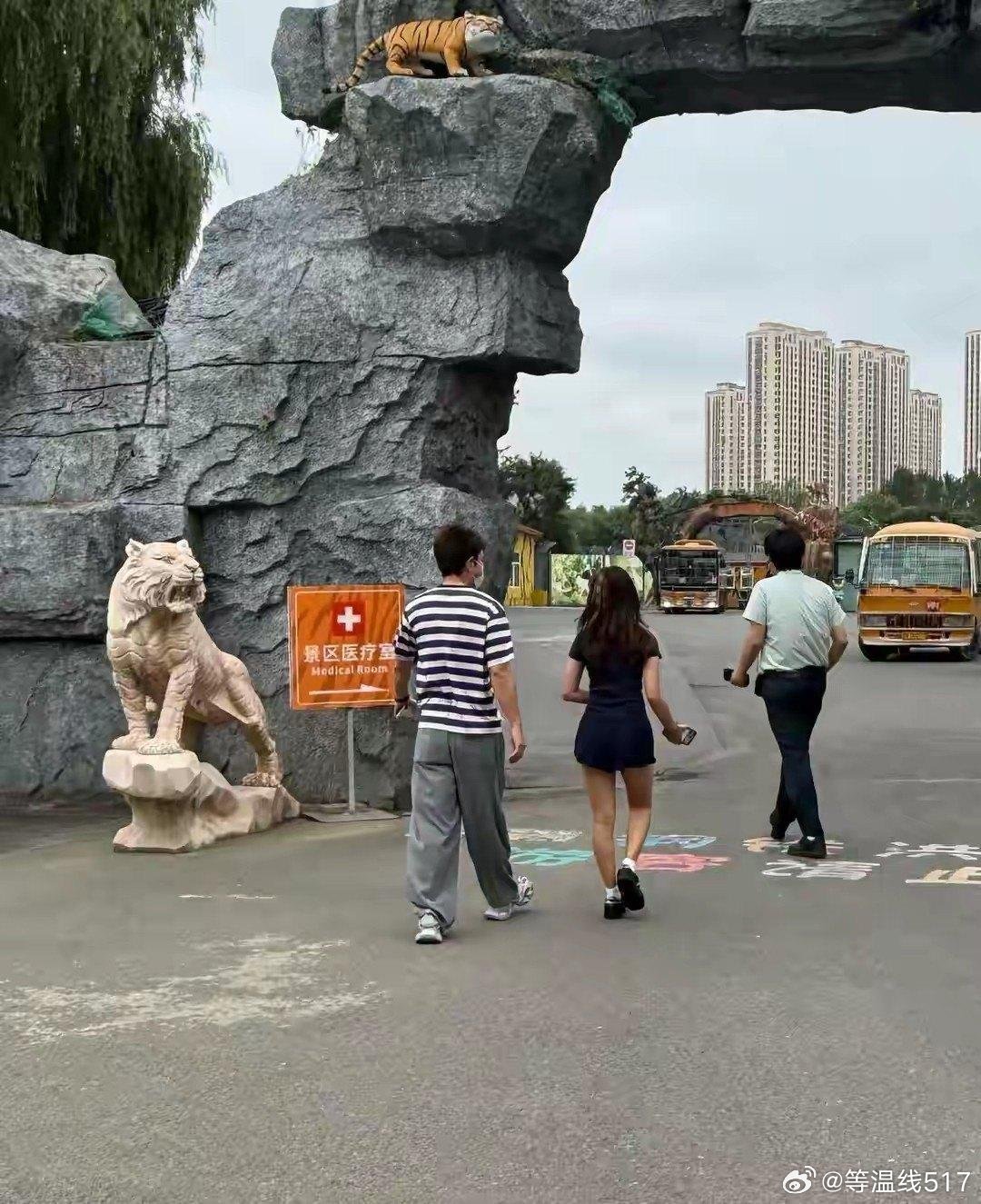 甜馨扎小辫逛虎园看老虎，兴奋直拍手，贾乃亮紧跟讲解，网友：这爸爸比导游还认真​