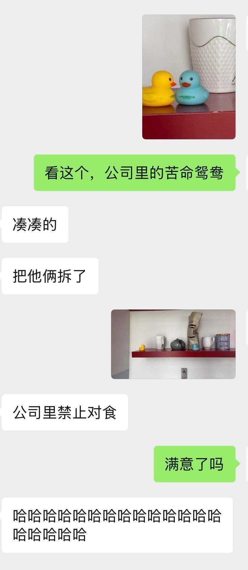 公司禁止对食哈哈哈哈哈哈​​​