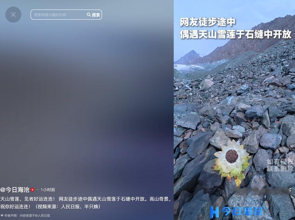 “上人民日报了！”8月10日新疆，男子爬天山，在爬到海拔大约3000米的位置停下