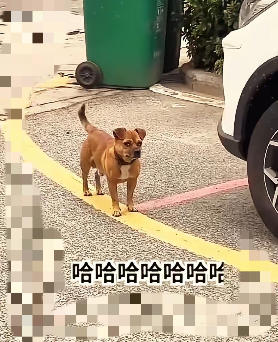 家人们谁懂啊！昨天我身体不舒服请了一天假，今天来上班，公司附近